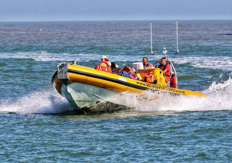 B5072C2C E3A7 4505 8844 E3C79A3C7EB1 768x541